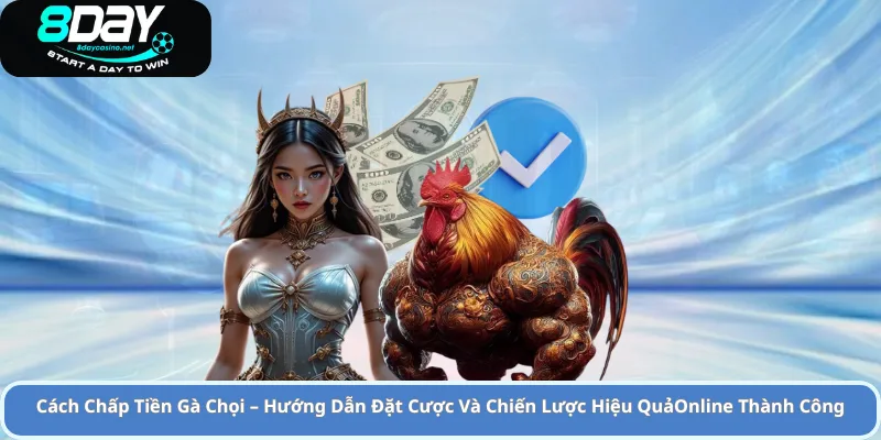 chấp tiền gà chọi