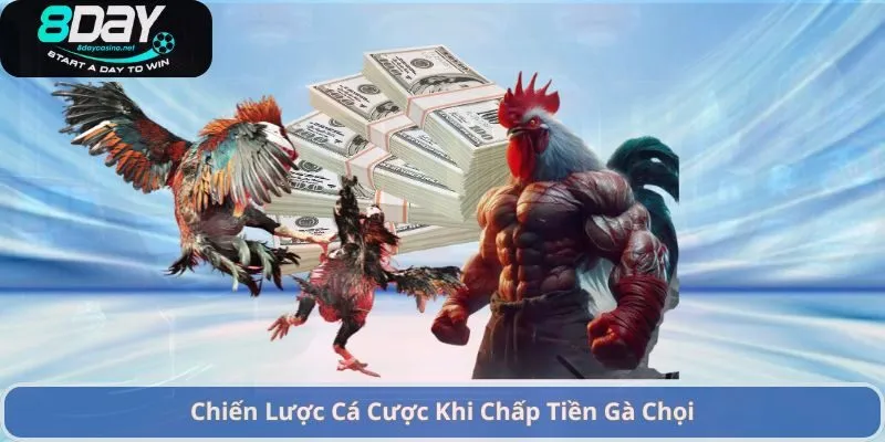 Chiến Lược Cá Cược Khi Chấp Tiền Gà Chọi
