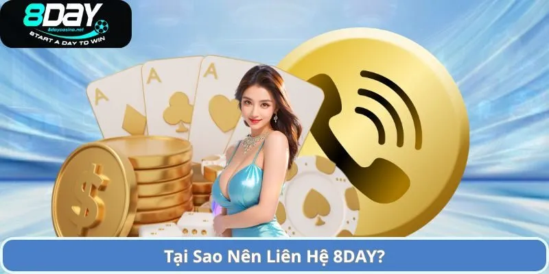 Tại Sao Nên Liên Hệ 8DAY?